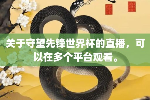 关于守望先锋世界杯的直播，可以在多个平台观看。