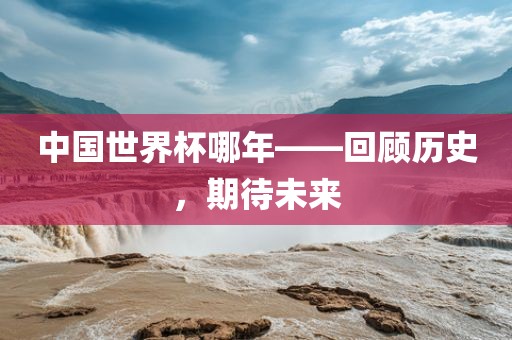 中国世界杯哪年——回顾历史，期待未来眉山市正发家政服务有限公司