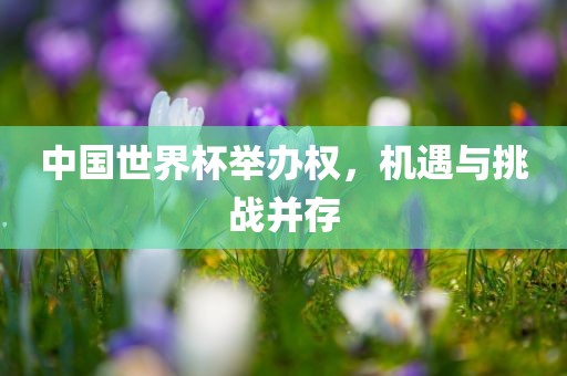 中国世界杯举办权，机遇与挑战并存