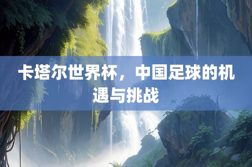 卡塔尔世界杯，中国足球的机遇与挑战