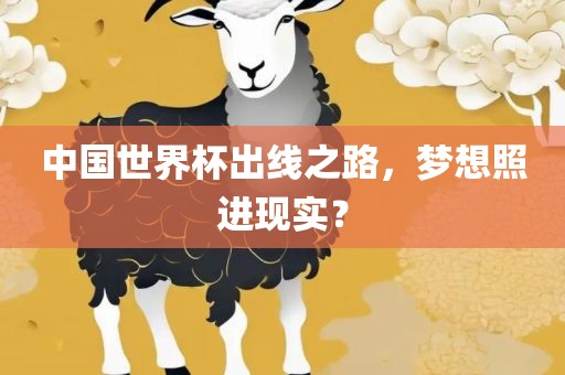 中国世界杯出线之路，梦想照进现实？