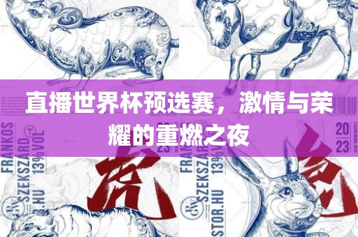 直播世界杯预选赛，激情与荣耀的重燃之夜