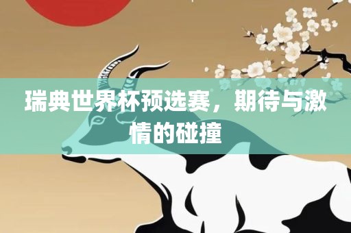 瑞典世界杯预选赛，期待与激情的碰撞