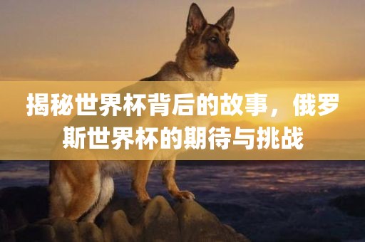 揭秘世界杯背后的故事，俄罗斯世界杯的期待与挑战