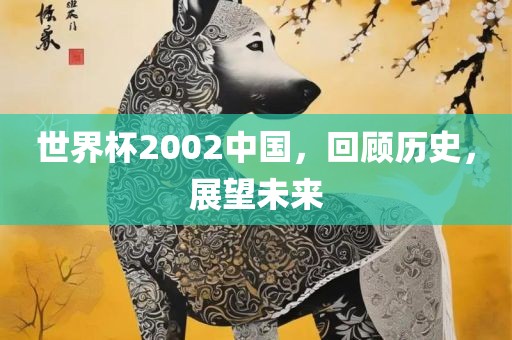 世界杯2002中国，回顾历史，展望未来