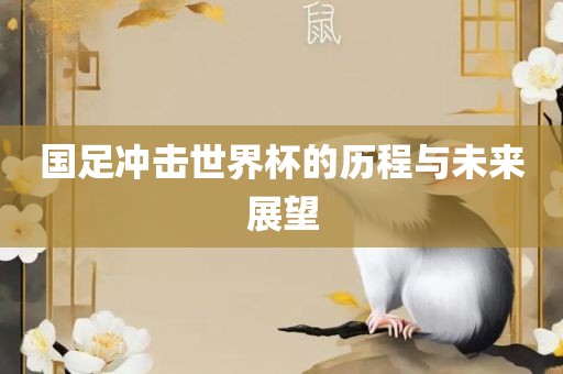 国足冲击世界杯的历程与未来展望
