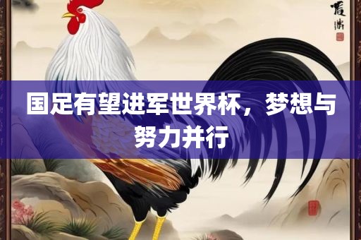 国足有望进军世界杯，梦想与努力并行