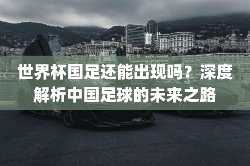世界杯国足还能出现吗？深度解析中国足球的未来之路