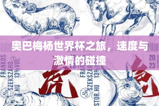 奥巴梅杨世界杯之旅，速度与激情的碰撞