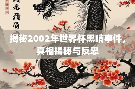 揭秘2002年世界杯黑哨事件，真相揭秘与反思