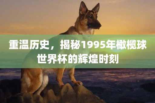 重温历史，揭秘1995年橄榄球世界杯的辉煌时刻