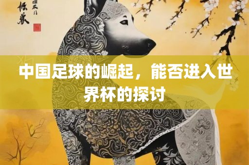 中国足球的崛起，能否进入世界杯的探讨
