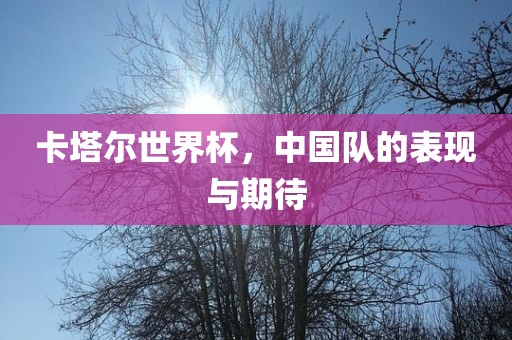卡塔尔世界杯，中国队的表现与期待