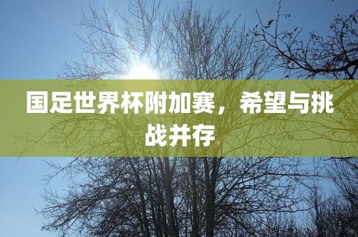 国足世界杯附加赛，希望与挑战并存