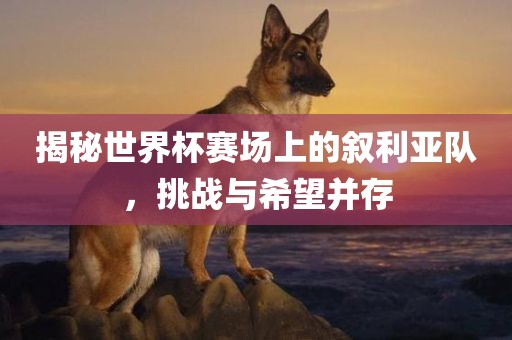 揭秘世界杯赛场上的叙利亚队，挑战与希望并存