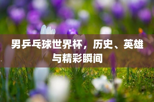 男乒乓球世界杯，历史、英雄与精彩瞬间