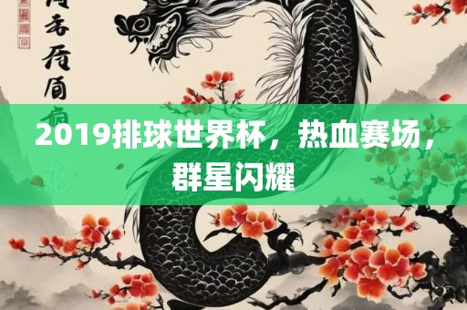 2019排球世界杯，热血赛场，群星闪耀