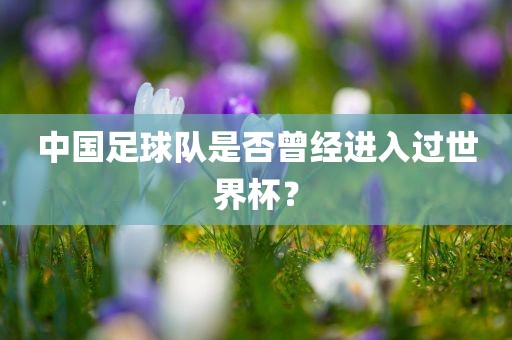 中国足球队是否曾经进入过世界杯？