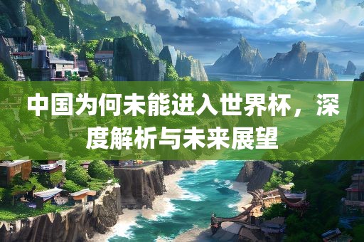 中国为何未能进入世界杯，深度解析与未来展望
