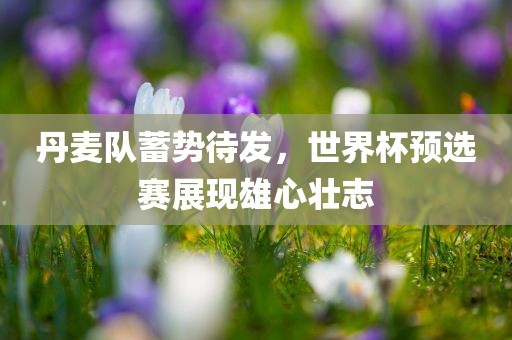 丹麦队蓄势待发，世界杯预选赛展现雄心壮志