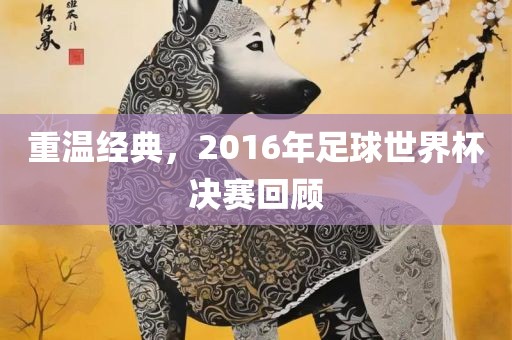 重温经典，2016年足球世界杯决赛回顾