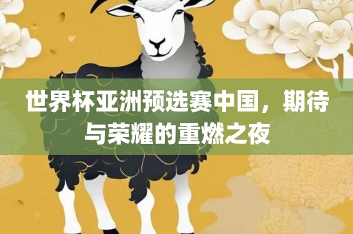 世界杯亚洲预选赛中国，期待与荣耀的重燃之夜
