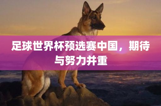 足球世界杯预选赛中国，期待与努力并重