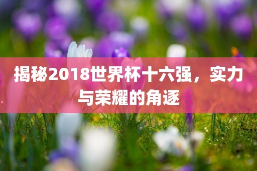 揭秘2018世界杯十六强，实力与荣耀的角逐