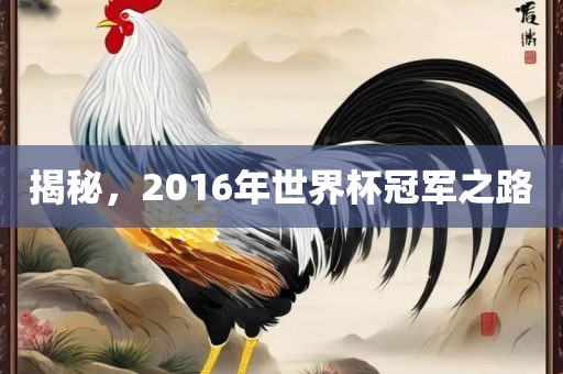 揭秘，2016年世界杯冠军之路