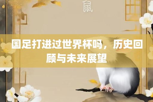 国足打进过世界杯吗，历史回顾与未来展望