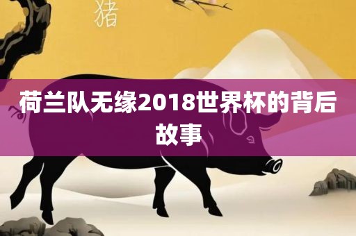 荷兰队无缘2018世界杯的背后故事