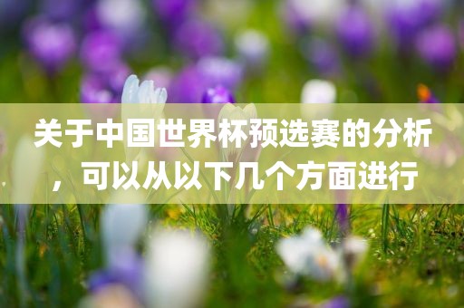 关于中国世界杯预选赛的分析，可以从以下几个方面进行