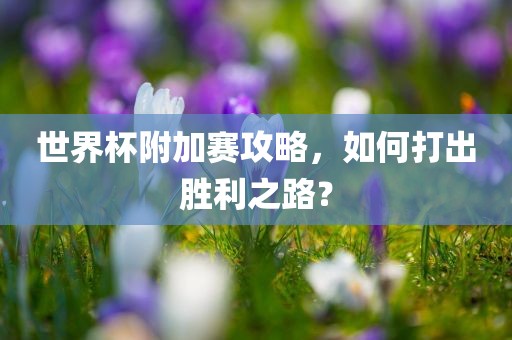 世界杯附加赛攻略，如何打出胜利之路？