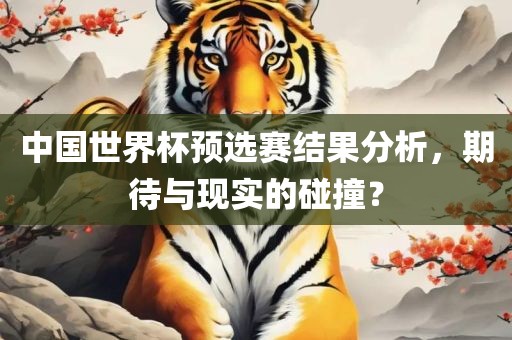 中国世界杯预选赛结果分析，期待与现实的碰撞？