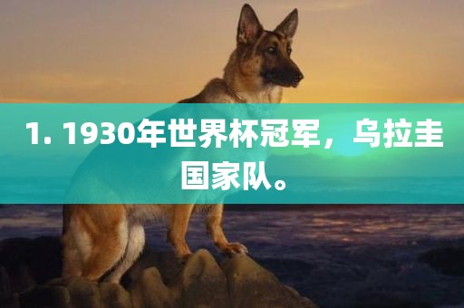 1. 1930年世界杯冠军，乌拉圭国家队。