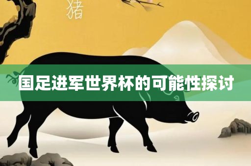 国足进军世界杯的可能性探讨
