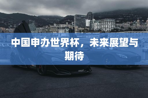 中国申办世界杯，未来展望与期待