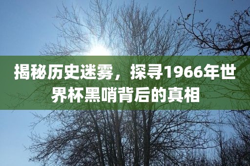 揭秘历史迷雾，探寻1966年世界杯黑哨背后的真相