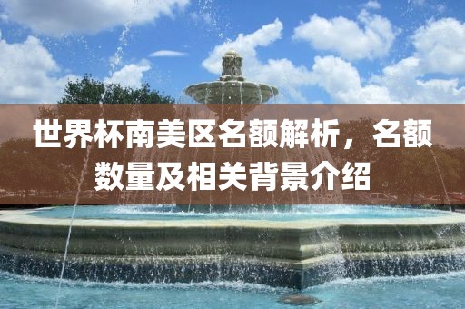 世界杯南美区名额解析，名额数量及相关背景介绍