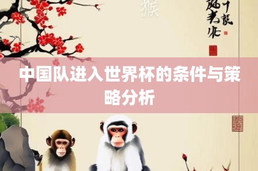 中国队进入世界杯的条件与策略分析