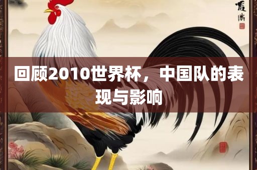 回顾2010世界杯，中国队的表现与影响