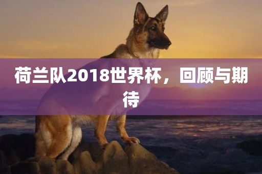 荷兰队2018世界杯，回顾与期待