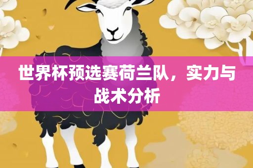 世界杯预选赛荷兰队，实力与战术分析