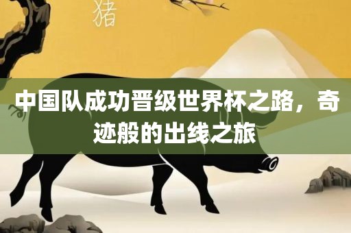 中国队成功晋级世界杯之路，奇迹般的出线之旅