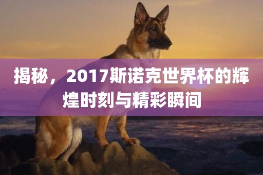 揭秘，2017斯诺克世界杯的辉煌时刻与精彩瞬间