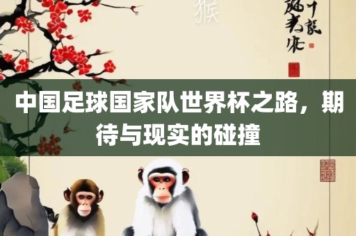 中国足球国家队世界杯之路，期待与现实的碰撞