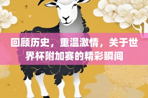 回顾历史，重温激情，关于世界杯附加赛的精彩瞬间