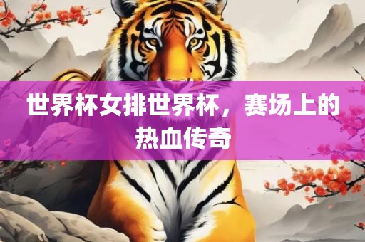 世界杯女排世界杯，赛场上的热血传奇