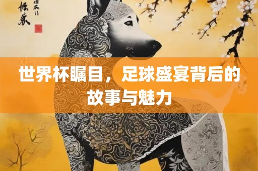 世界杯瞩目，足球盛宴背后的故事与魅力