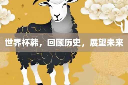 世界杯韩，回顾历史，展望未来